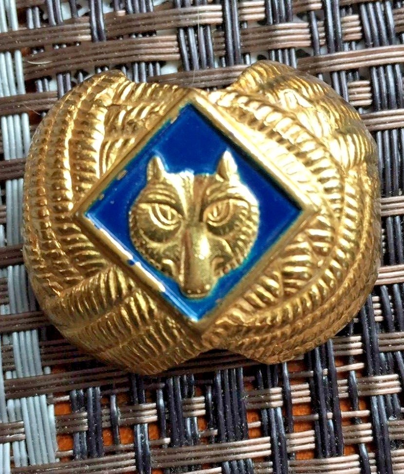 Cub Scout Wolf Cub Neckerchief & Slide Golden Bandanna & Den 7 Patch