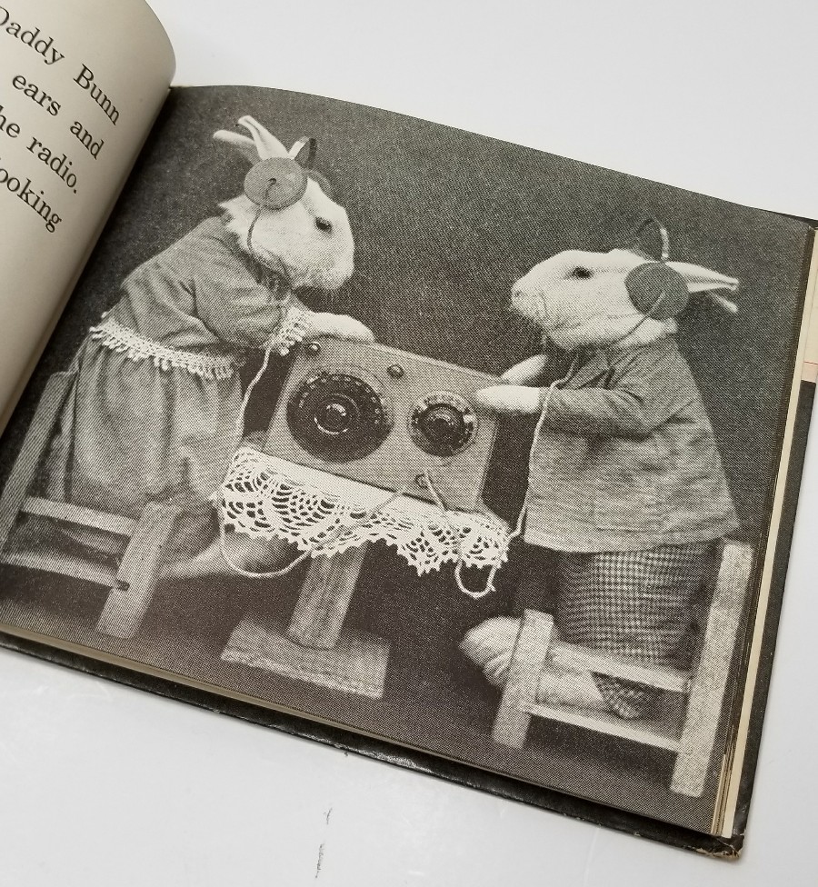BUNNY RABBIT Unusual Photos REAL BUNNIES FOUR LITTLE BUNNIES Book ADORABLE