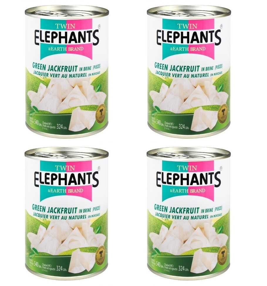 4x Jackfrucht Wasser fleischersatz vegetarisch vegan grüne jackbaumfrucht a 540g