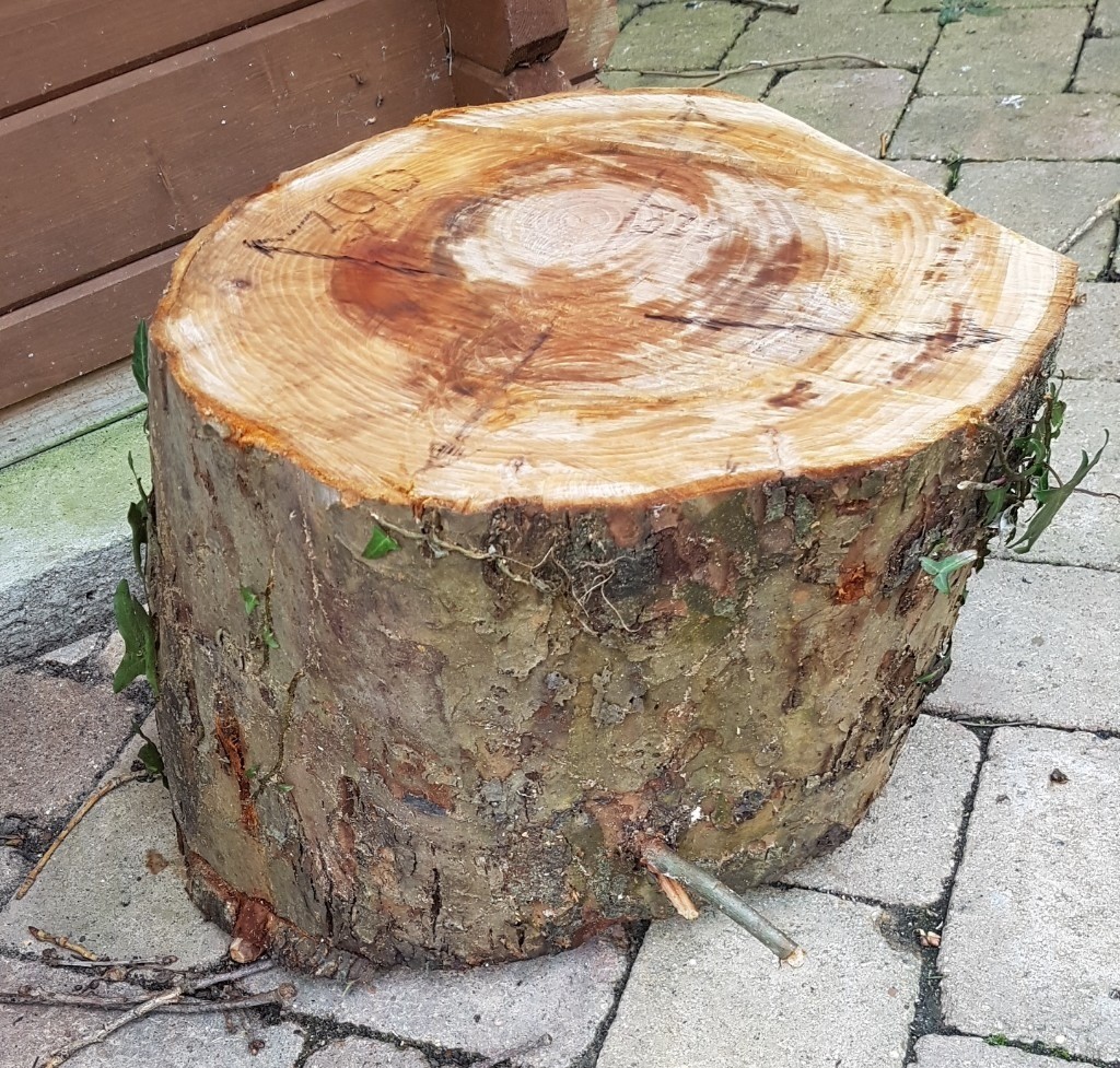 Apple Wood for Turning recently felled in Bognor Regis, West Sussex
