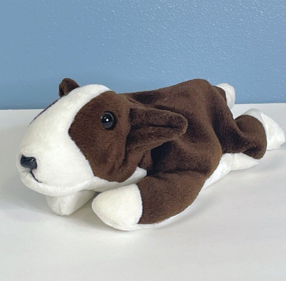 Beautifully Detailed Bull Terrier Puppy Dog 8