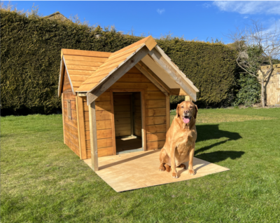 Ebay top dog kennels