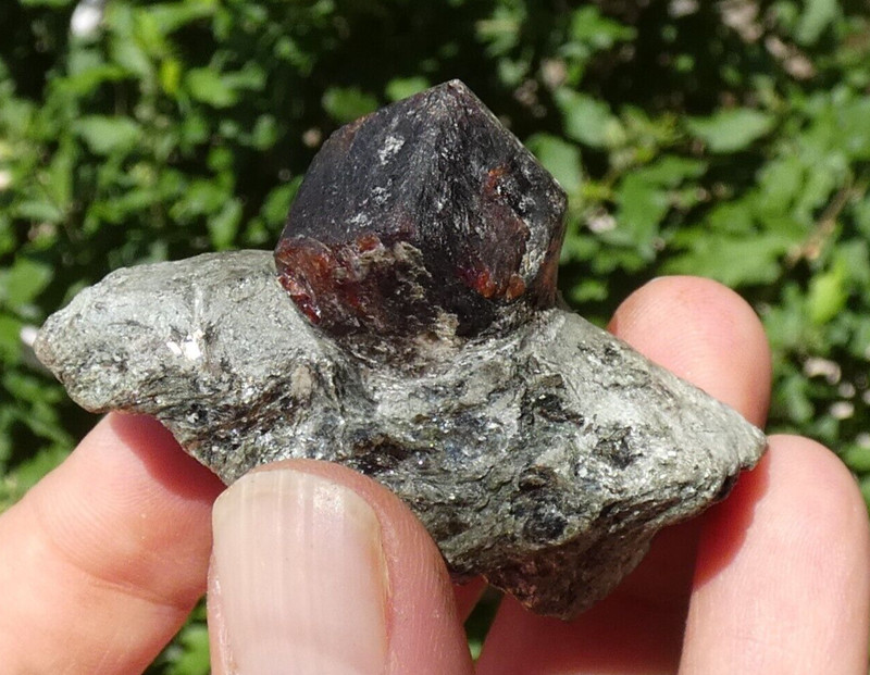 Grenat Almandin Sur Micaschiste 5x3.5cm Zillertal MinÃ©Raux Collection Pierre