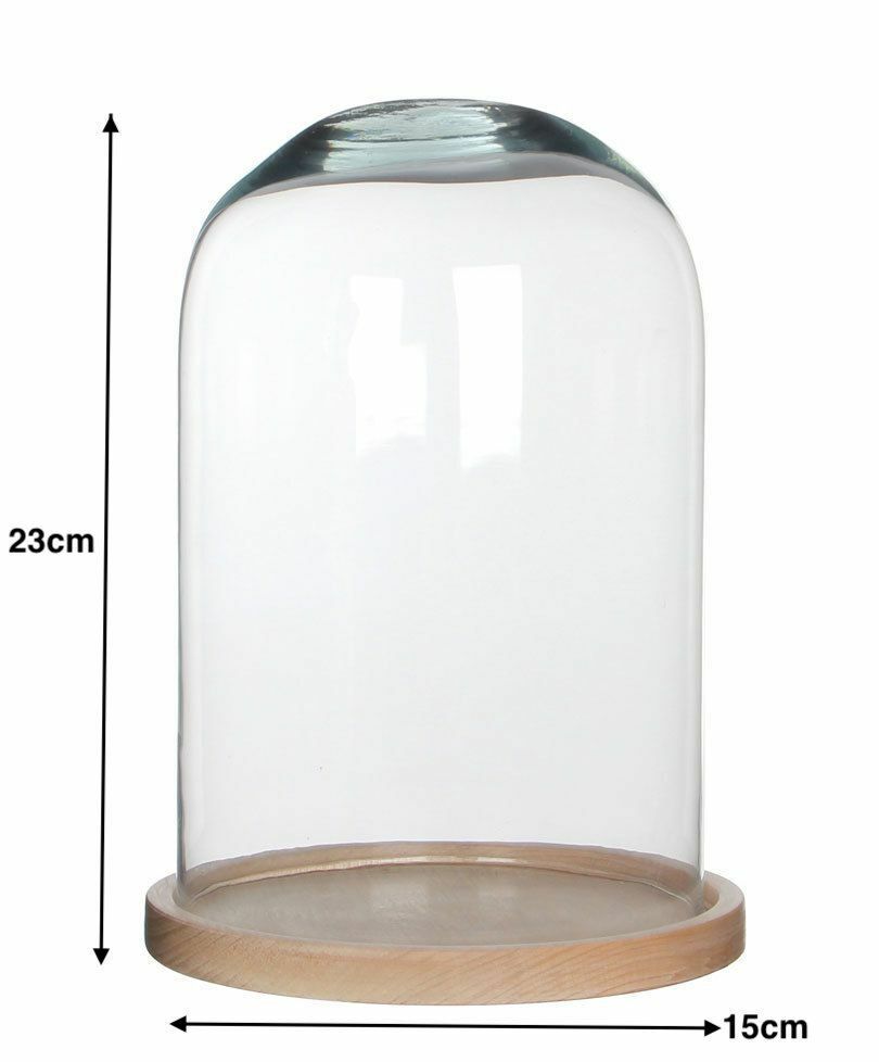 Campana Di Vetro Con Base Legno 7.8x9.1cm - Display Per Piante Grasse, Decorazioni, Fai Da Te