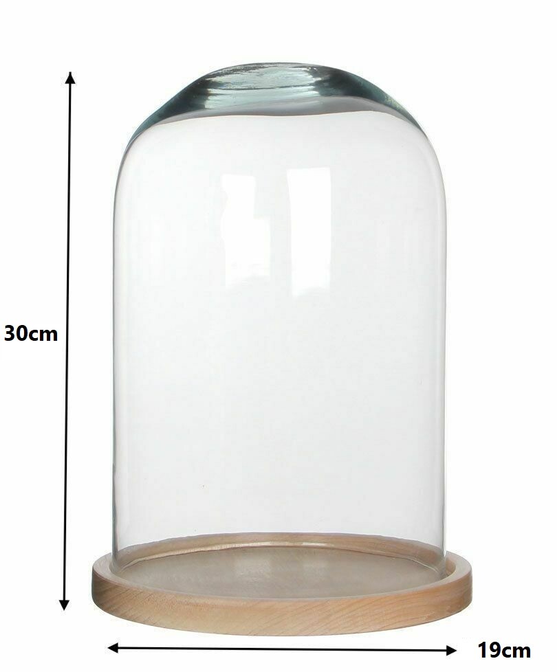 Teca Cupola Campana Vetro Con Base Presepe Diorama Statua Espositore 30x19cm