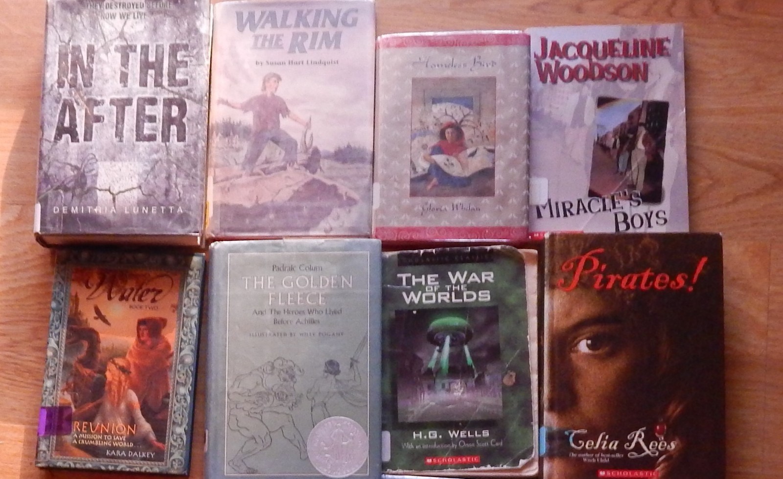 Middle Grade Accelerated readers Lot of 23 Chapter, Classroom