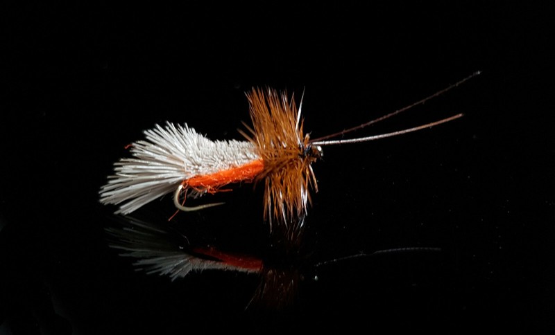 Sedge Goddard Ventre Orange Mouche Serenity - Qty/Taille - Dry Fly Seche Caddis