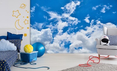 3D Simple Sky G8100 Wallpaper Wall Murals Removable Self-adhesive Erin