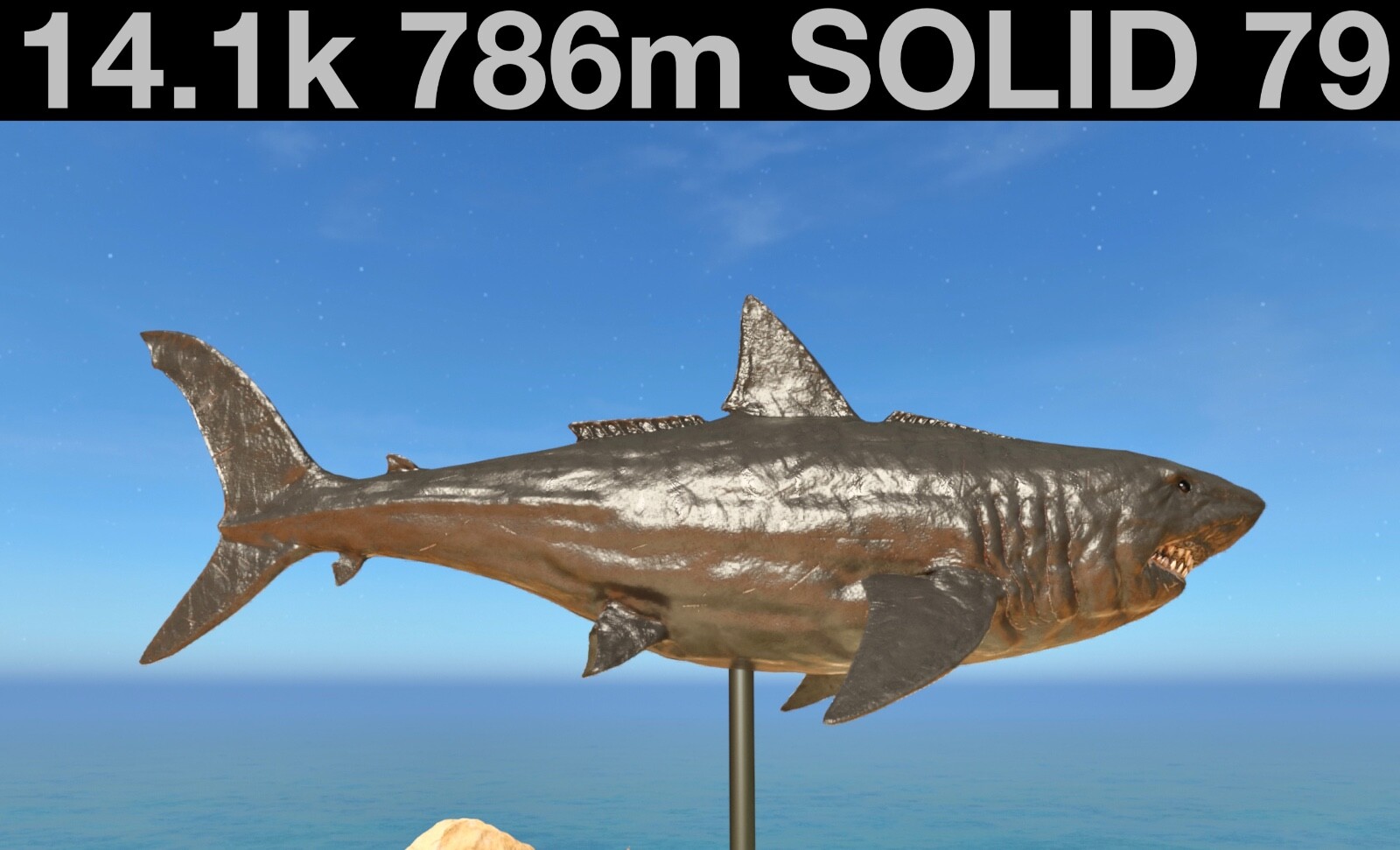 14.1k 786m Solid 79 Megalodon Ark Survival Ascended ASA PVE