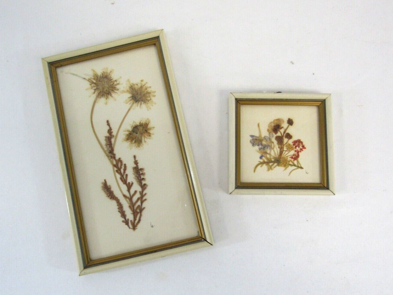 銅版画「Dry Flower」 1963 Pair Framed German Democratic Republic GDR Zipfelhaus