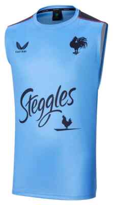 Sydney Roosters 2022 NRL Mens Blue Training Singlet Sizes S-7XL BNWT