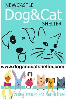 Newcastle upon Tyne Dog and Cat Shelter and Animal Sanctuary