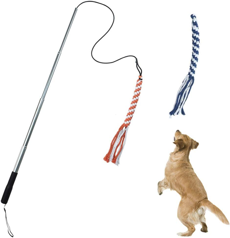 Dog Extendable Teaser Wand Pet Teasing Flirt Pole Interactive Toy 2 Cotton Rope.
