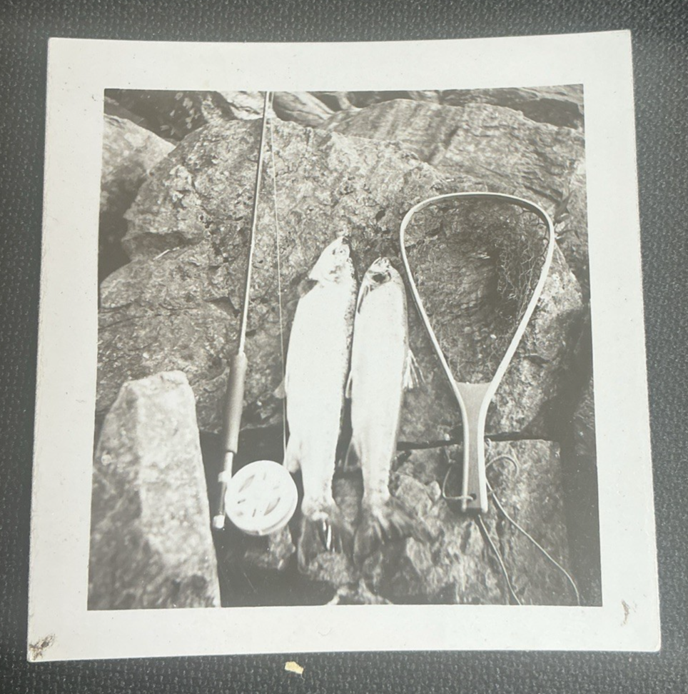 Vintage Snapshot Photo Fishing Fish Net Fly Rod Trout Salmon on Rocks 1930s