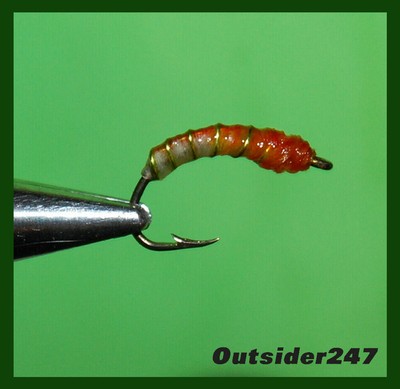 1/2 dozen (6) Jumbo Midge -  Life Stage Pupa - Sub Surface Fly - Springtime USA