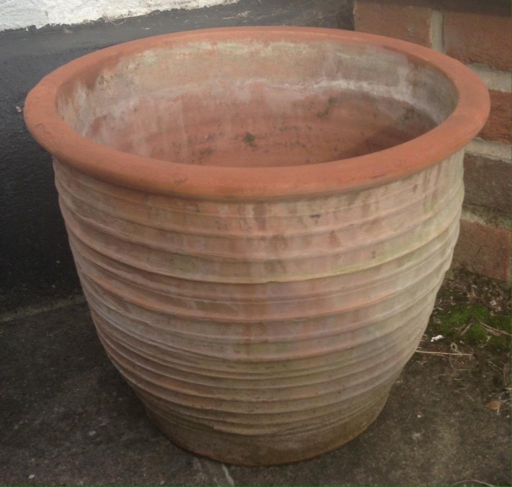 Large Terracotta  Pot  in Yeovil Somerset Gumtree