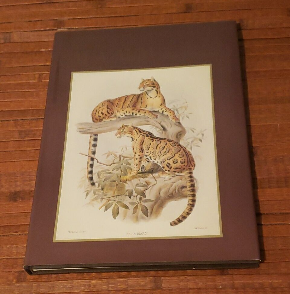 洋書 CLASSIC NATURAL HISTORY PRINTS MAMMALS Classic Natural History Prints Mammals S. Peter Dance HC 60
