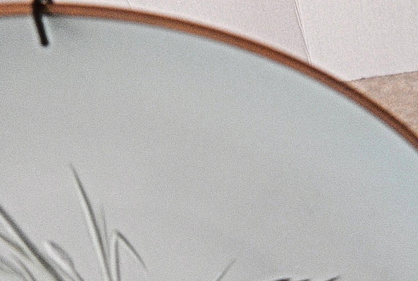 Wallace Decorative Collector's Plate 