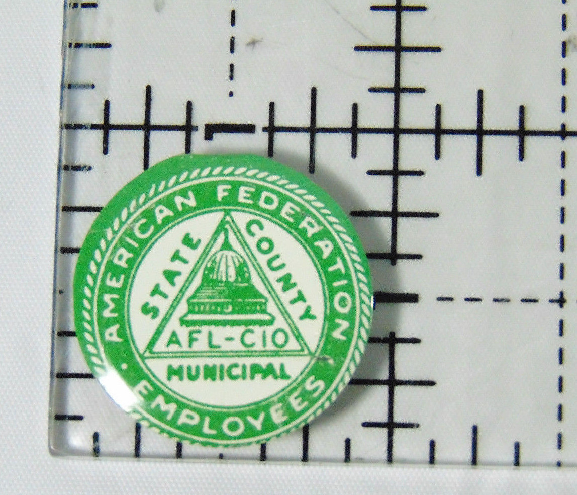 Small American Federation Employees Pin