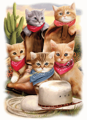 Cowboy Cat Shirt, Kittens & Bandanas Shirt, cat gifts, Desperados, Small - 5X