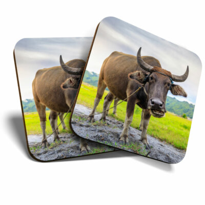 2 x Coasters - Carabao Buffalo Philippines Home Gift #3169