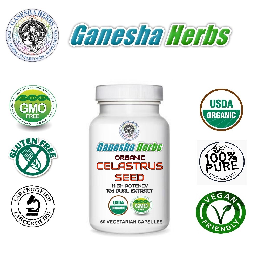 ORGANIC CELASTRUS  PANICULATUS SEED HIGH POTENCY 10:1 EXTRACT 60 CAPSULES