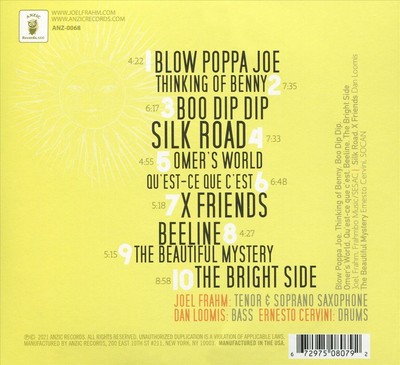 JOEL FRAHM BRIGHT SIDE NEW CD