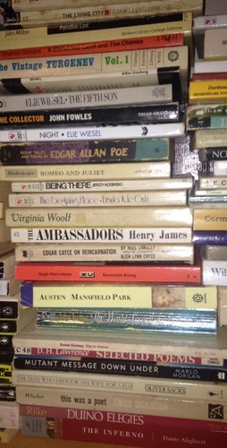 Choose / Pick 12 From 150 Books Build Classic Literature Book Lot Free Shipping