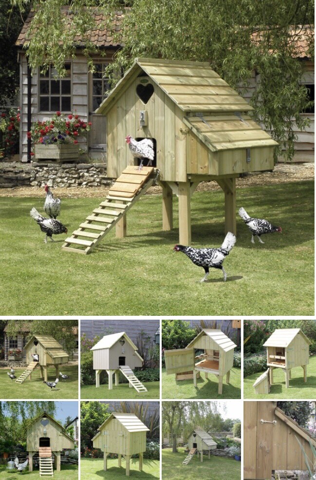 Flyte So Fancy Chicken Coop In Wetherby West Yorkshire Gumtree