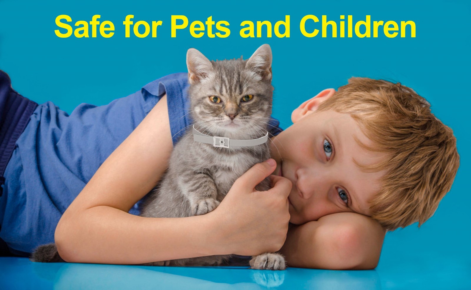 Flea And Tick Collar For Cats - 8 Months Protection - One Size Fits All - Large