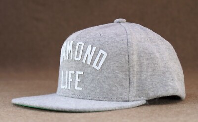 New Diamond Supply Co. Arch Life Gray Mens OS Sport Snapback Hat RHTDAM-28