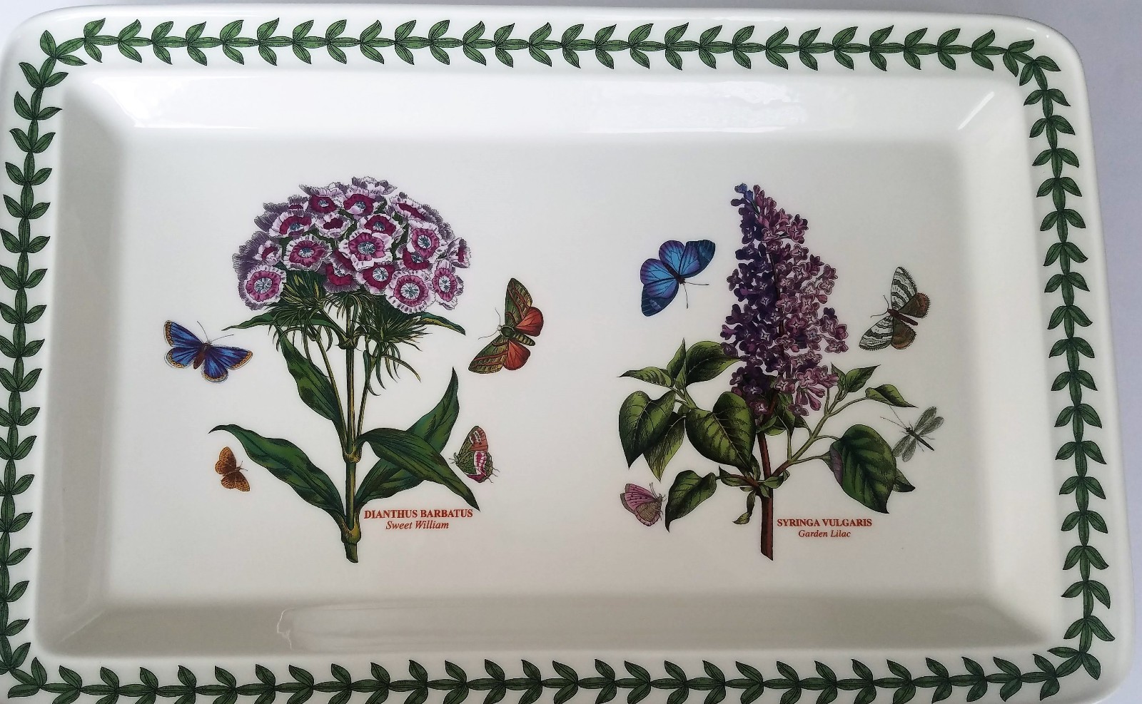 Portmeirion Botanic Garden 16 1/8