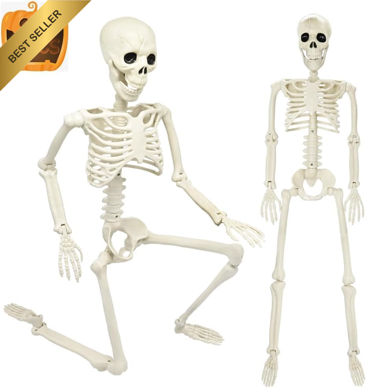 3FT Skeleton, 36" Full Body Halloween Skeleton with Movable Posable Joints, Plas