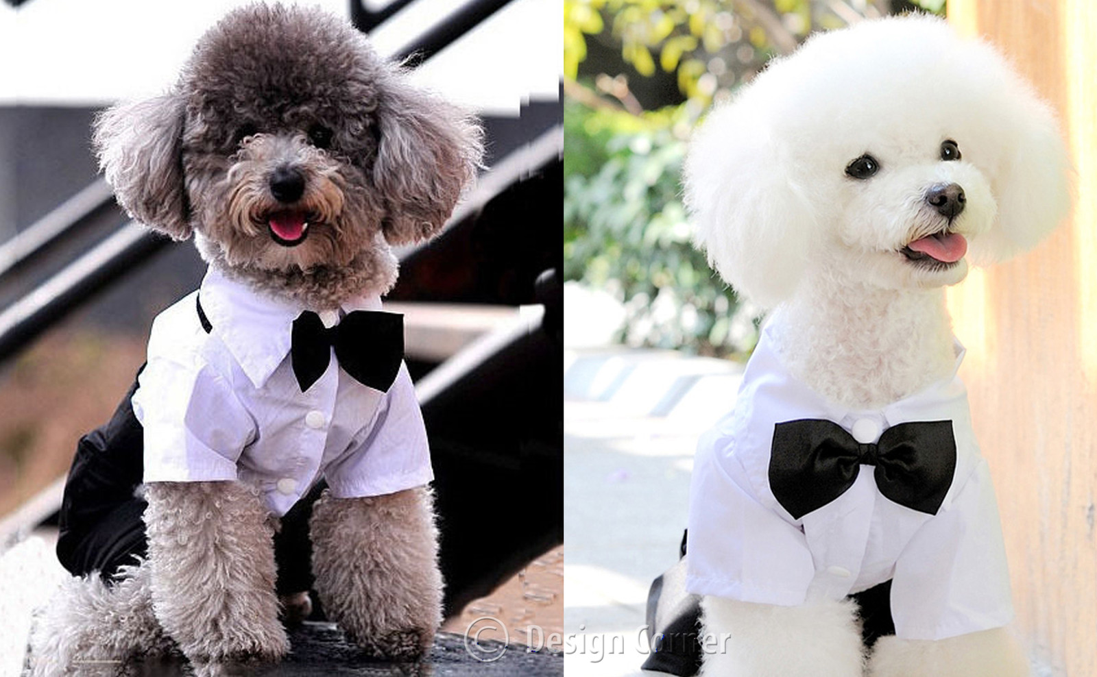 ワンピース Dog Print Bow Tie Dress $_57.JPG?set_id=880000500F