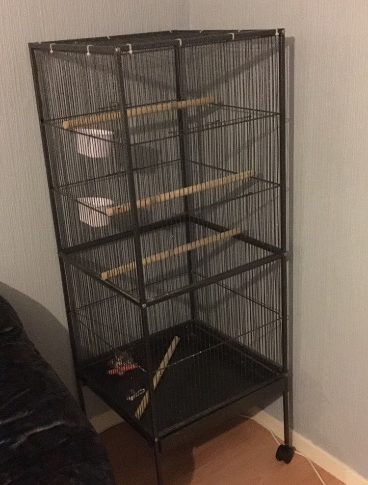 Large bird cage in Forfar, Angus Gumtree