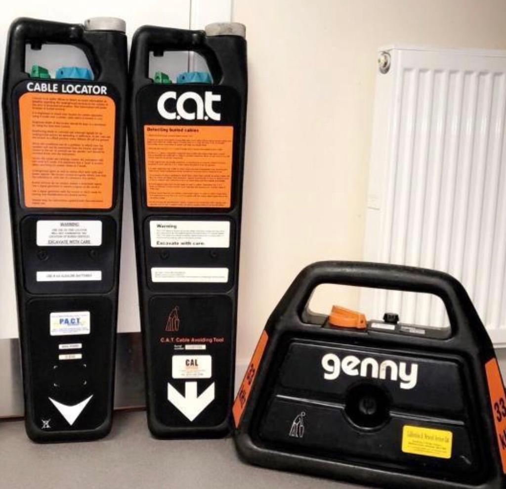 CAT GENNY in East Calder, West Lothian Gumtree