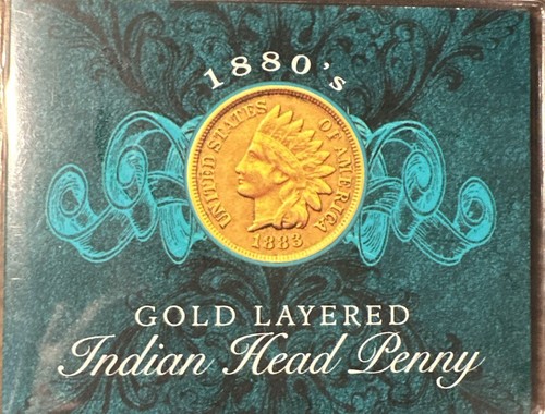 1889 Indian Head Penny Gold Layered Free Shipping | eBay