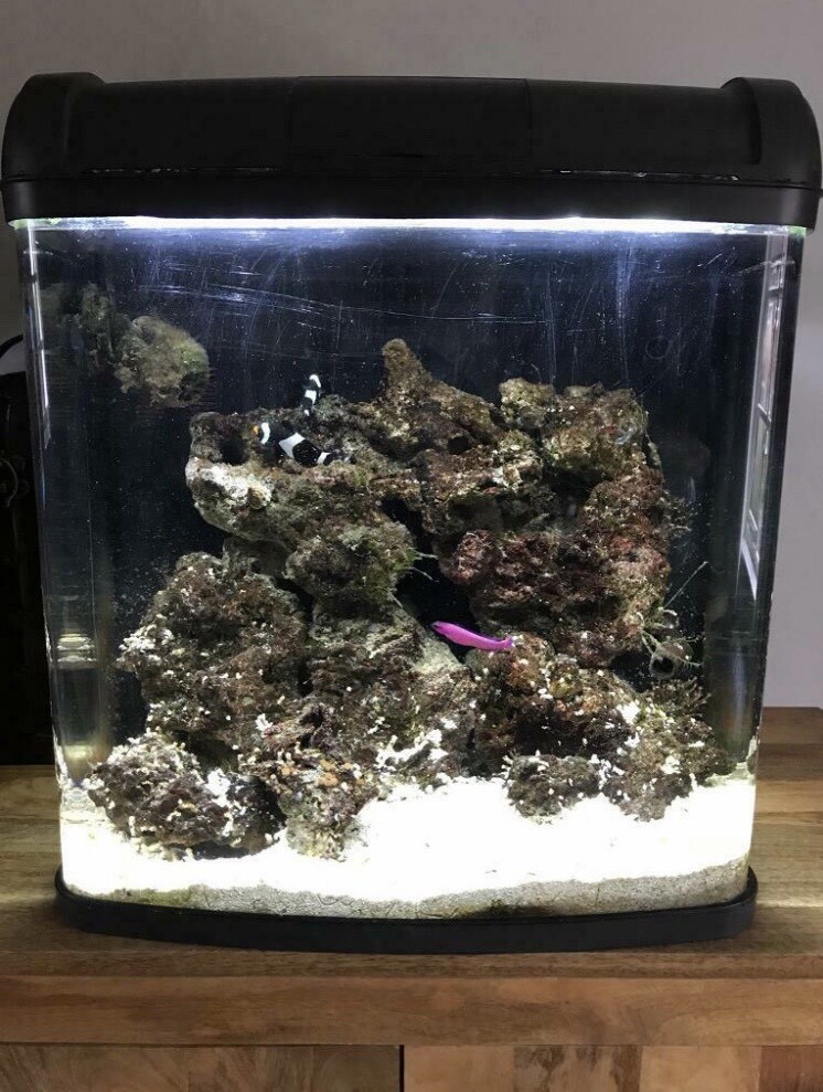 Kent Marine Bio Reef 94 Litre Fish Tank Full setup in Bewdley