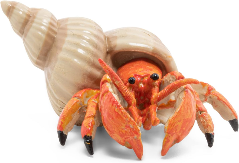 56054 - Figurine - Hermit Crab, Multicolor | eBay