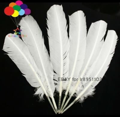 100 pcs Turkey Quills by Wing feathers 28-33 CM/11-13Inch white feather Carnival