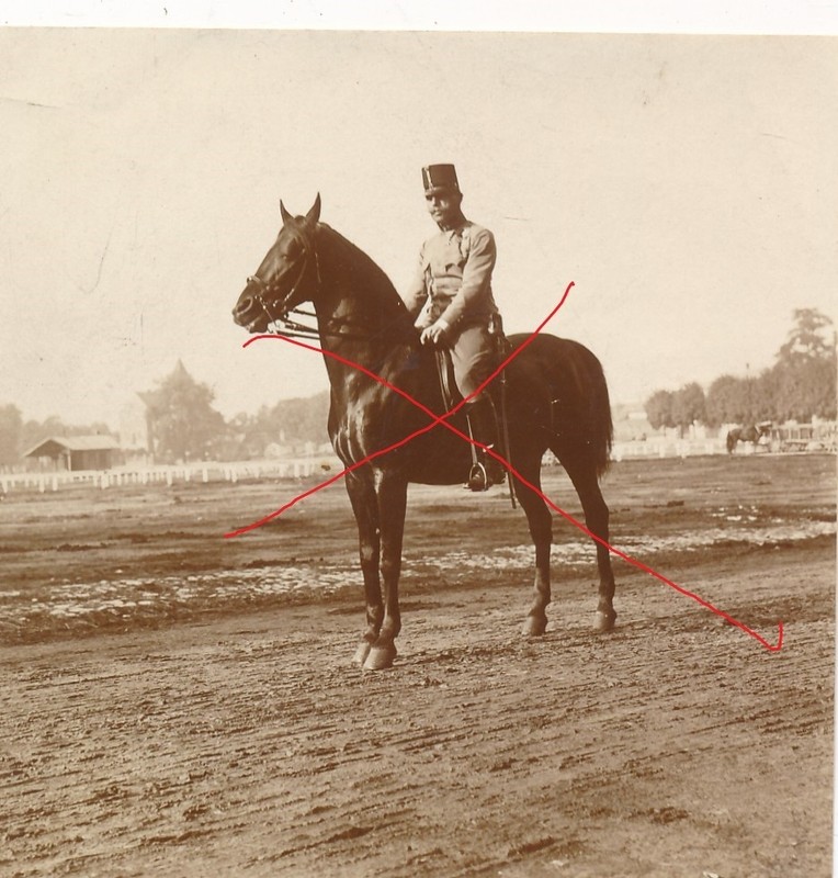 Nr.55930 Seltenes Foto  1 Wk K,U,K, Offizier Reiter  Pferd