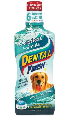 Dental Fresh Water Additive   Advanced Plaque and Tartar Formula for Dogs & Cats