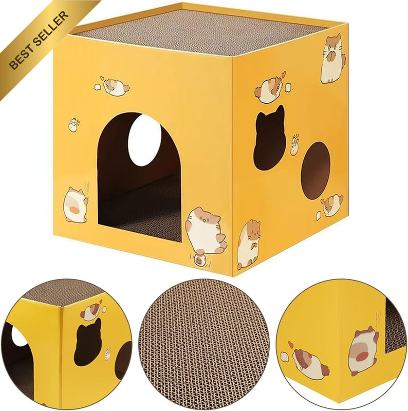 Picture 3