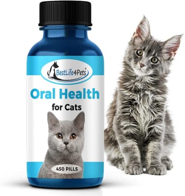 BestLife4Pets Oral Health for Cats - Cat Dental Care Supplement Anti inflammator