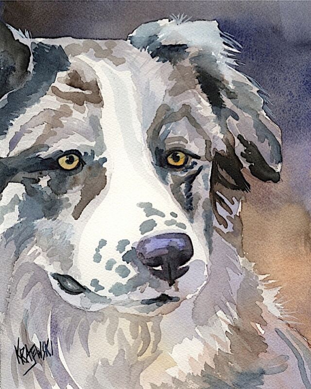 Australian Shepherd Dog Art Print Signed by Artist Ron Krajewski 8x10