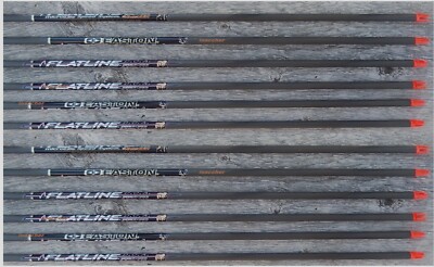 FLATLINE CARBON EASTON SHAFTS  1 dz