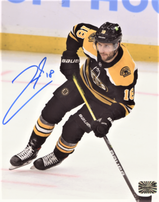 boston bruins zacha