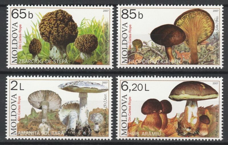 Moldova 2007 Mushrooms 4 MNH stamps
