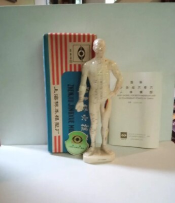 Chinese Meridien Acupoints and their locations Body Model in box.