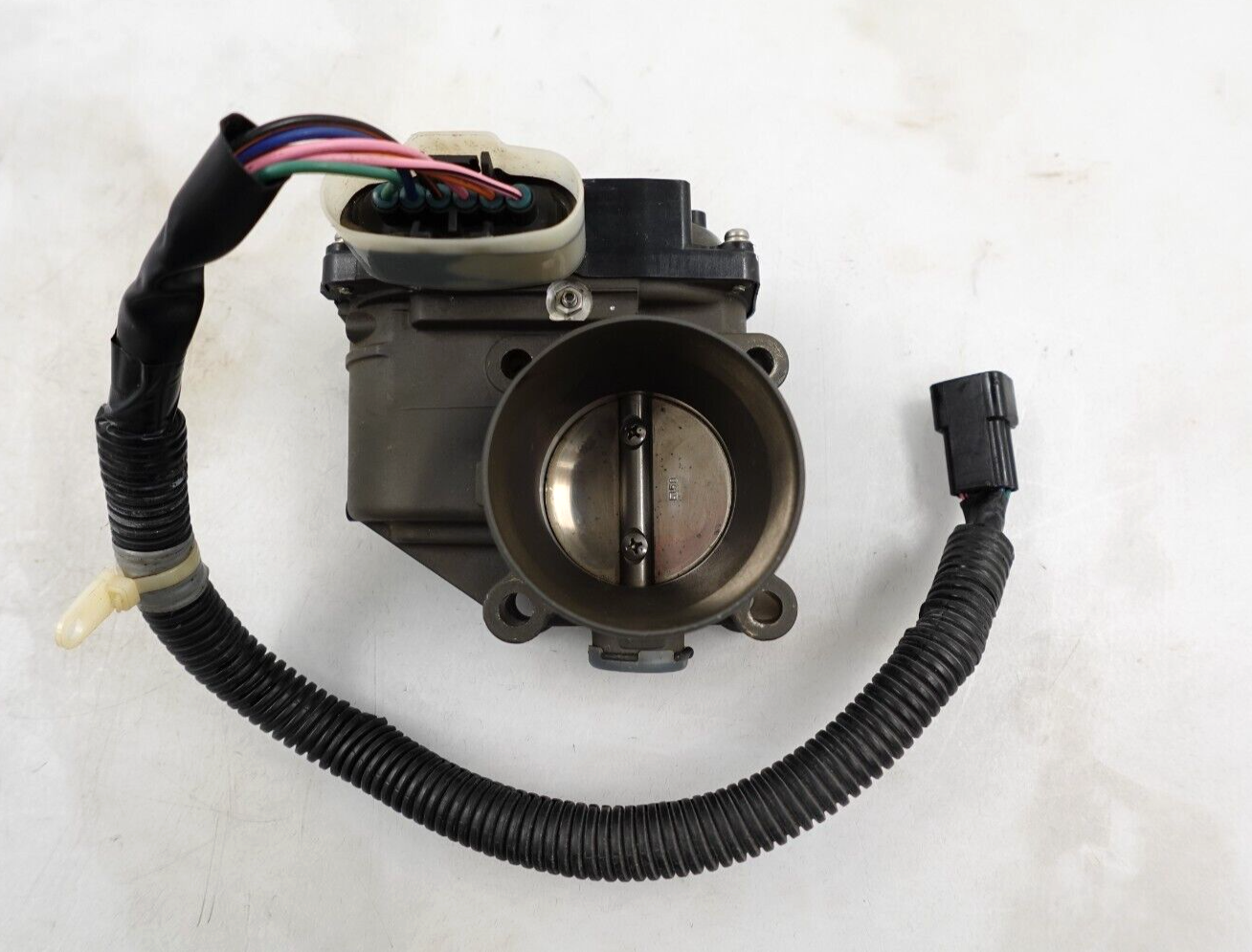 tomomo 510YpuNv3aL._UF894,1000_QL80_.jpg